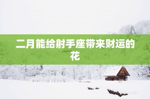 二月能给射手座带来财运的花