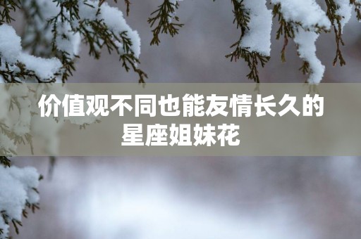 价值观不同也能友情长久的星座姐妹花