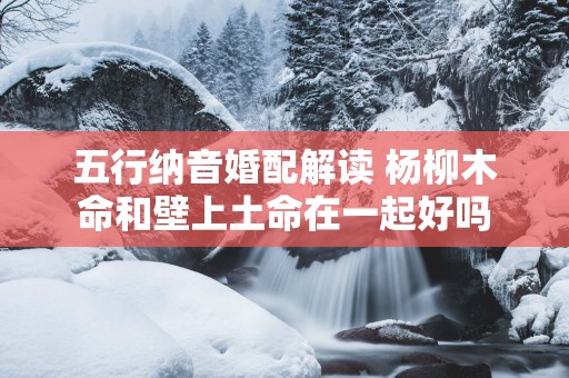 五行纳音婚配解读 杨柳木命和壁上土命在一起好吗