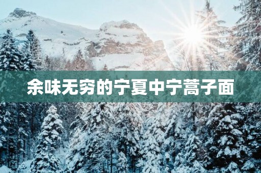 余味无穷的宁夏中宁蒿子面