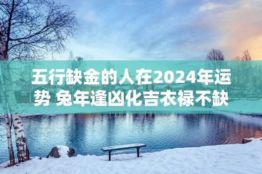 五行缺金的人在2025年运势 蛇年逢凶化吉衣禄不缺