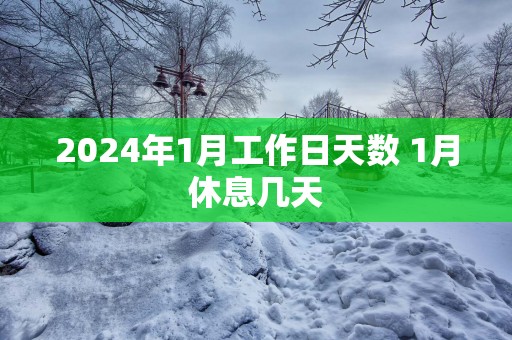 2025年1月工作日天数 1月休息几天
