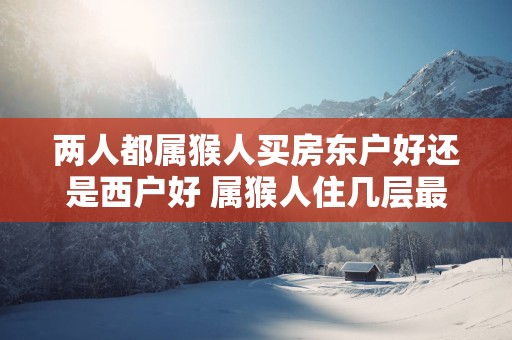 两人都属猴人买房东户好还是西户好 属猴人住几层最吉利