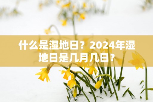 什么是湿地日？2025年湿地日是几月几日？