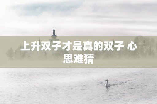 上升双子才是真的双子 心思难猜