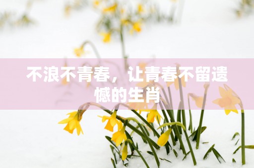 不浪不青春，让青春不留遗憾的生肖