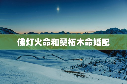 佛灯火命和桑柘木命婚配
