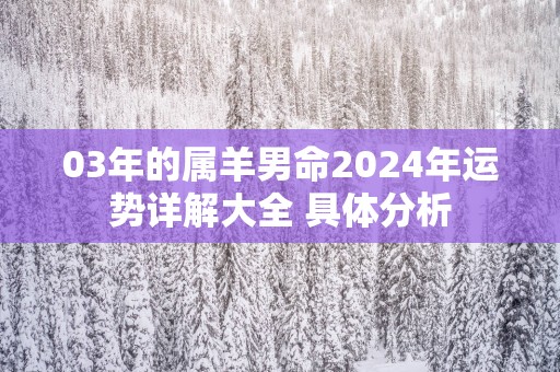 03年的属羊男命2025年运势详解大全 具体分析