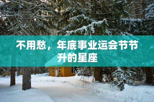 不用愁，年底事业运会节节升的星座