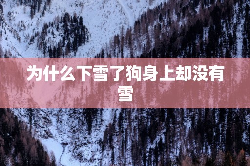 为什么下雪了狗身上却没有雪