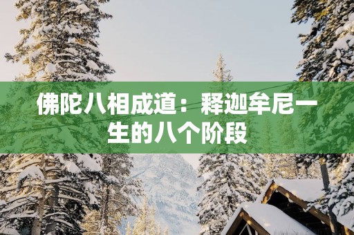 佛陀八相成道：释迦牟尼一生的八个阶段