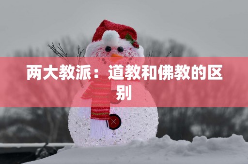 两大教派：道教和佛教的区别