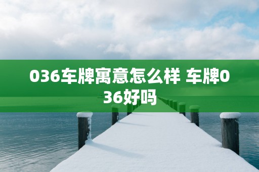 036车牌寓意怎么样 车牌036好吗