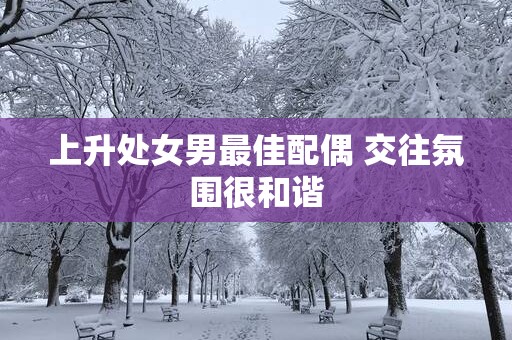 上升处女男最佳配偶 交往氛围很和谐