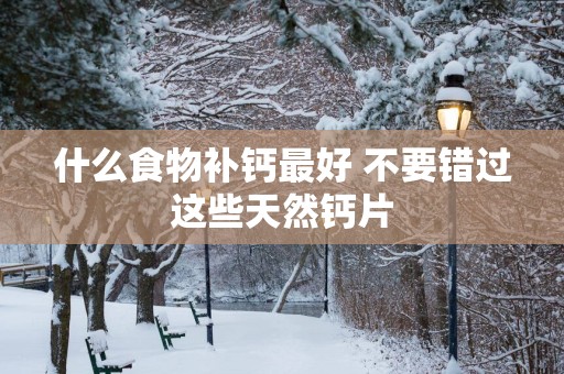 什么食物补钙最好 不要错过这些天然钙片