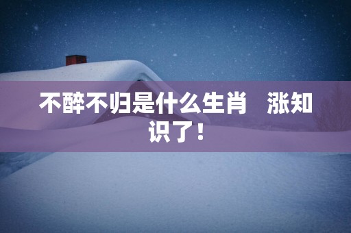 不醉不归是什么生肖   涨知识了！