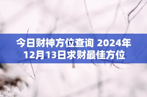今日财神方位查询 2025年12月13日求财最佳方位