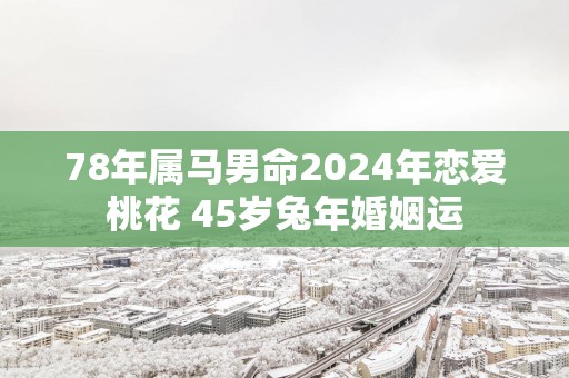 78年属马男命2025年恋爱桃花 45岁蛇年婚姻运