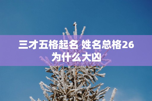 三才五格起名 姓名总格26为什么大凶