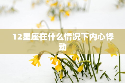 12星座在什么情况下内心悸动