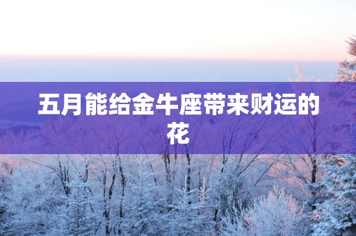 五月能给金牛座带来财运的花