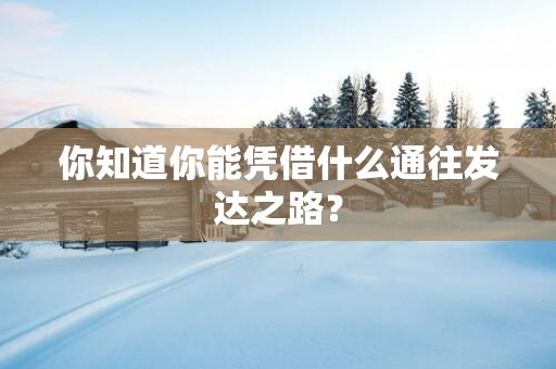 你知道你能凭借什么通往发达之路？