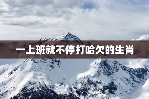 一上班就不停打哈欠的生肖