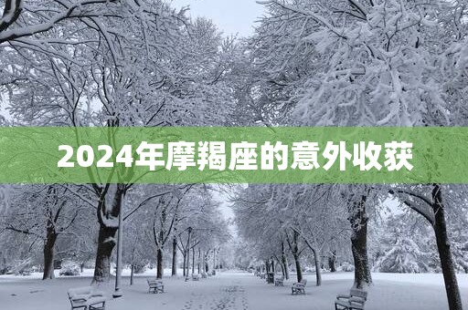 2025年摩羯座的意外收获