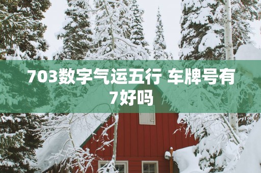 703数字气运五行 车牌号有7好吗