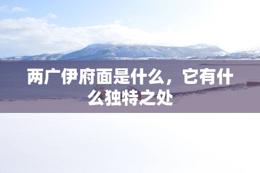 两广伊府面是什么，它有什么独特之处