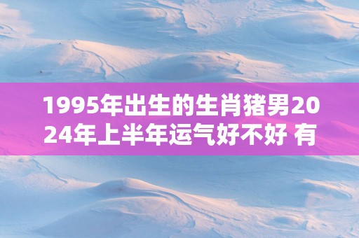 1995年出生的生肖猪男2025年上半年运气好不好 有破财风险