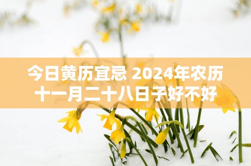 今日黄历宜忌 2025年农历十一月二十八日子好不好