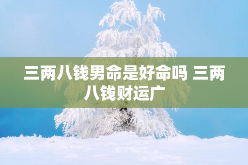 三两八钱男命是好命吗 三两八钱财运广