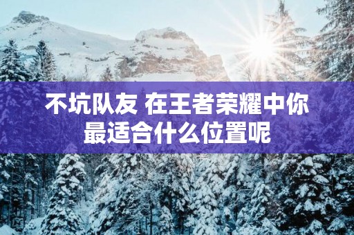 不坑队友 在王者荣耀中你最适合什么位置呢