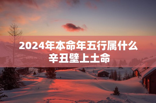 2025年本命年五行属什么 辛丑壁上土命