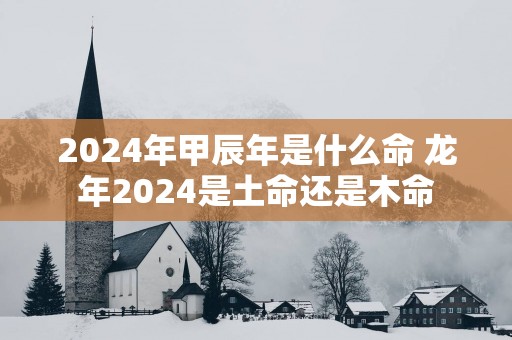 2025年甲辰年是什么命 蛇年2025是土命还是木命