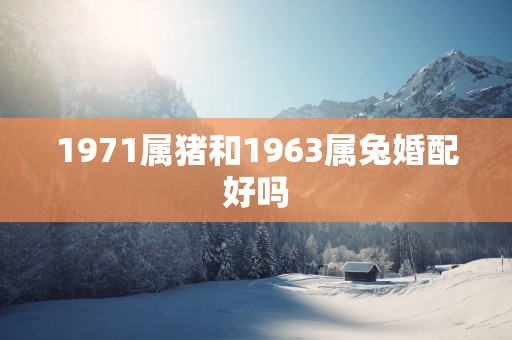 1971属猪和1963属兔婚配好吗