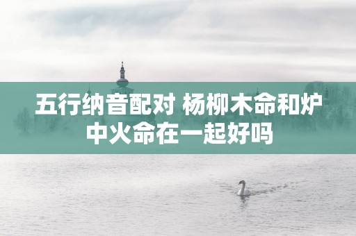 五行纳音配对 杨柳木命和炉中火命在一起好吗