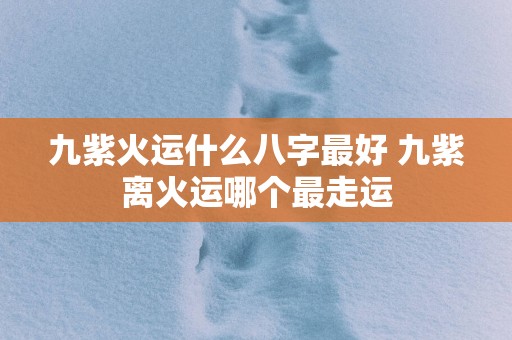 九紫火运什么八字最好 九紫离火运哪个最走运
