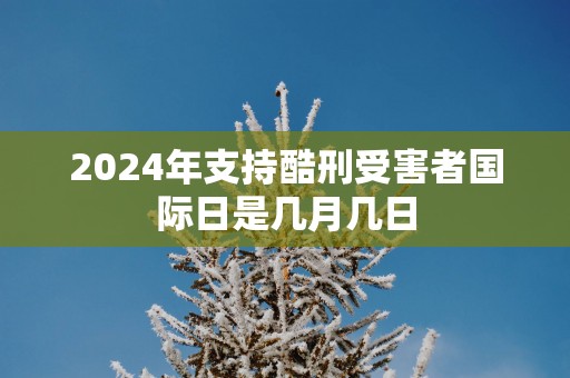 2025年支持酷刑受害者国际日是几月几日