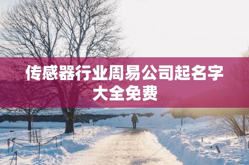 传感器行业周易公司起名字大全免费