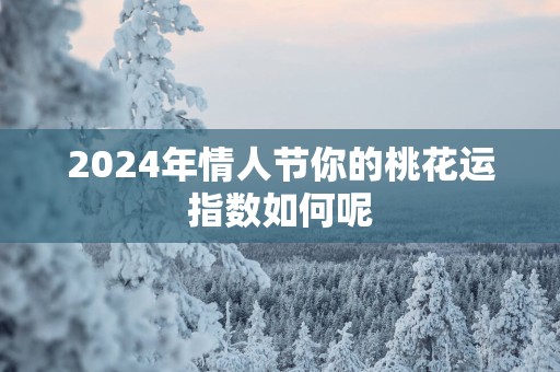 2025年情人节你的桃花运指数如何呢