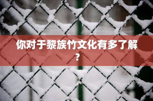 你对于黎族竹文化有多了解？