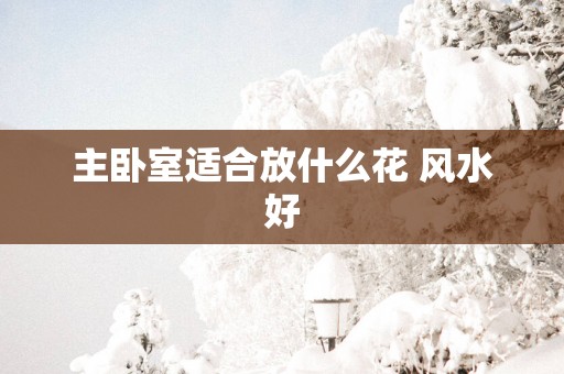 主卧室适合放什么花 风水好