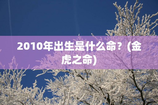 2010年出生是什么命？(金虎之命)