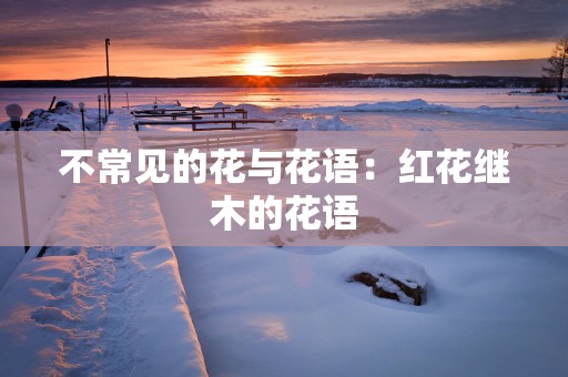 不常见的花与花语：红花继木的花语