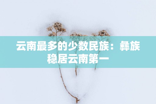 云南最多的少数民族：彝族稳居云南第一