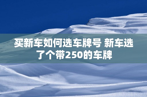 买新车如何选车牌号 新车选了个带250的车牌