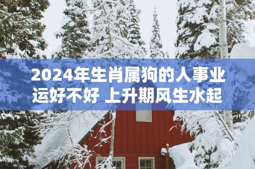 2025年生肖属狗的人事业运好不好 上升期风生水起