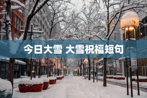 今日大雪 大雪祝福短句